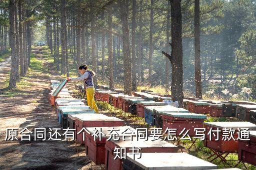 原合同還有個補充合同要怎么寫付款通知書