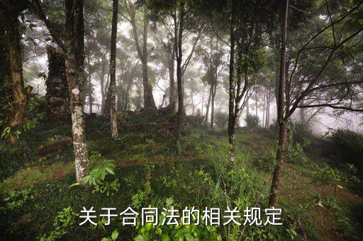 關(guān)于合同法的相關(guān)規(guī)定