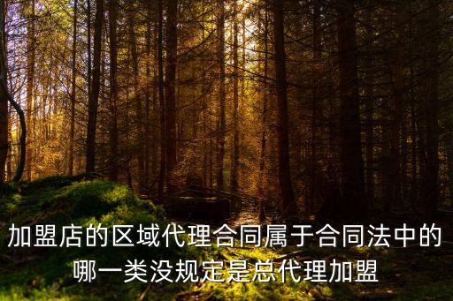 加盟店的區(qū)域代理合同屬于合同法中的哪一類沒規(guī)定是總代理加盟