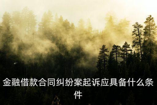 金融借款合同糾紛怎么處理，金融借款合同糾紛案起訴應(yīng)具備什么條件