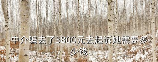 被詐騙起訴一個人要多少錢，中介騙去了3800元去起訴她需要多少錢