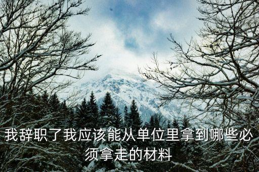 我辭職了我應該能從單位里拿到哪些必須拿走的材料