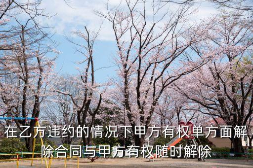 在乙方違約的情況下甲方有權(quán)單方面解除合同與甲方有權(quán)隨時解除