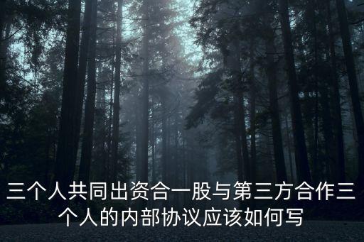 三人股份協(xié)議書范本，三個(gè)人共同出資合一股與第三方合作三個(gè)人的內(nèi)部協(xié)議應(yīng)該如何寫