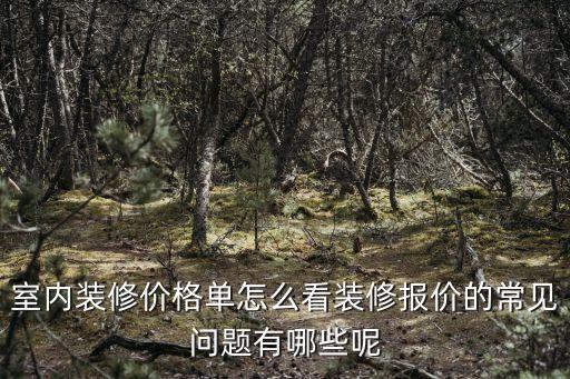 室內(nèi)裝修價(jià)格單怎么看裝修報(bào)價(jià)的常見問題有哪些呢