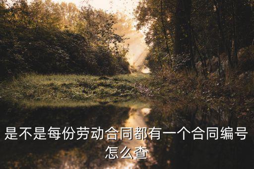 個(gè)人勞動(dòng)合同怎么查詢編號(hào)，你好 我想請(qǐng)問自己勞動(dòng)合同編號(hào)在哪能夠查到 勞動(dòng)局可以嗎