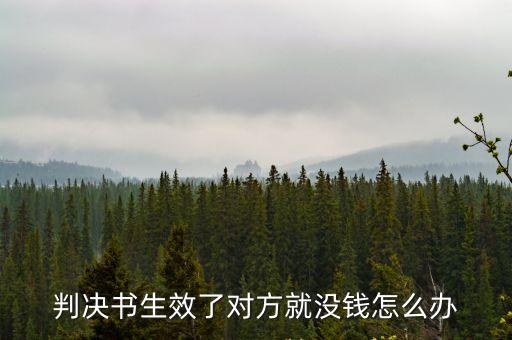 判決書(shū)生效了對(duì)方就沒(méi)錢(qián)怎么辦