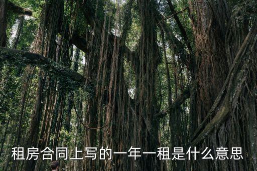 租房合同上寫的一年一租是什么意思