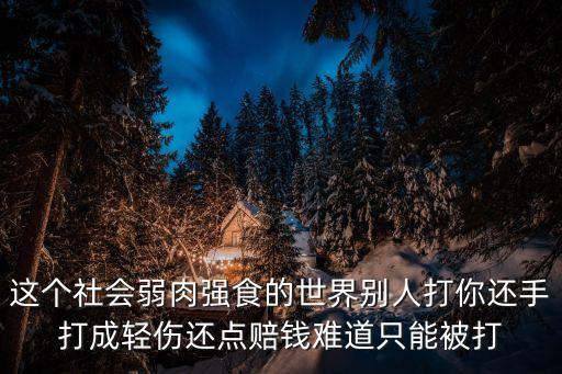 這個社會弱肉強食的世界別人打你還手打成輕傷還點賠錢難道只能被打