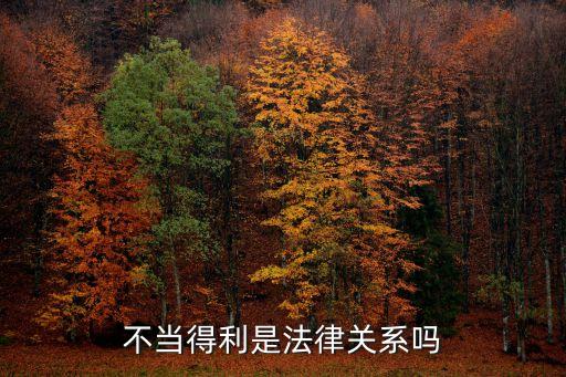 民法典不當(dāng)?shù)美姆梢?guī)定，不當(dāng)?shù)美欠申P(guān)系嗎