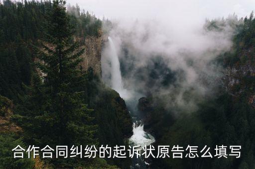 服務(wù)合同糾紛起訴狀范本怎么寫(xiě)，合作合同糾紛的起訴狀原告怎么填寫(xiě)