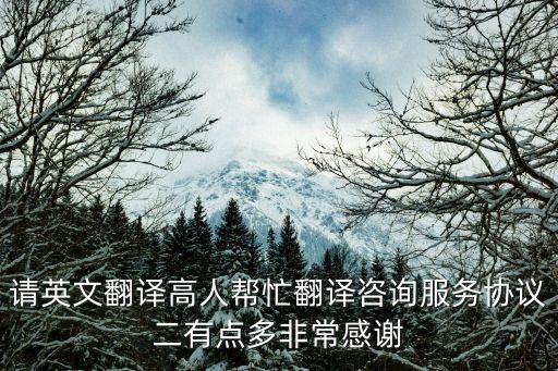 咨詢服務(wù)合同中英文版，英文合同咨詢不用逐字翻譯每條重點大意即可求助T T