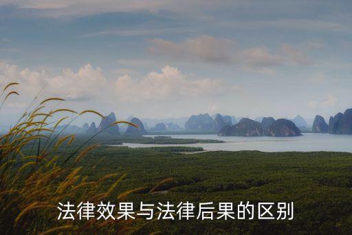 法律效果與法律后果的區(qū)別