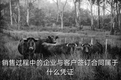 銷(xiāo)售過(guò)程中的企業(yè)與客戶簽訂合同屬于什么憑證