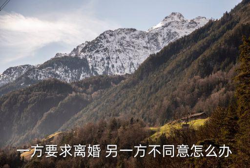 一方要求離婚 另一方不同意怎么辦