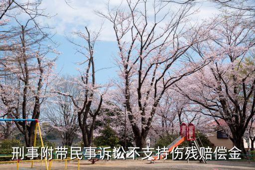 判了刑不支持傷殘賠償，刑事附帶民示起訴不支持傷殘陪償金判完了那民示起訴可以陪傷殘陪