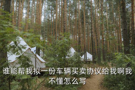 誰能幫我擬一份車輛買賣協(xié)議給我啊我不懂怎么寫