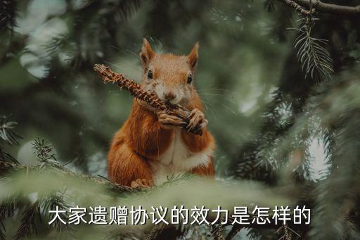 遺贈的法律效力有多大，遺贈有效嗎