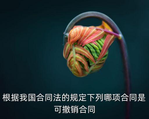 根據(jù)我國(guó)合同法的規(guī)定下列哪項(xiàng)合同是可撤銷合同