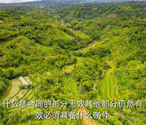 合同部分無效法條，什么是合同的部分無效其他部分仍然有效必須具備什么條件