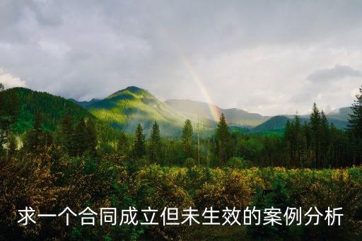 求一個(gè)合同成立但未生效的案例分析