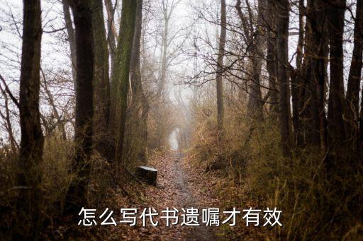 怎么寫(xiě)代書(shū)遺囑才有效