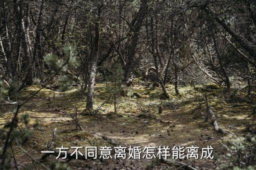 一方不同意離婚怎樣能離成