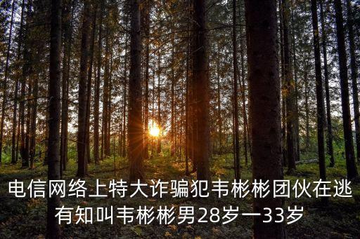 電信網(wǎng)絡(luò)上特大詐騙犯韋彬彬團伙在逃有知叫韋彬彬男28歲一33歲