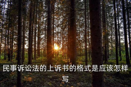 民事訴訟法的上訴書的格式是應(yīng)該怎樣寫