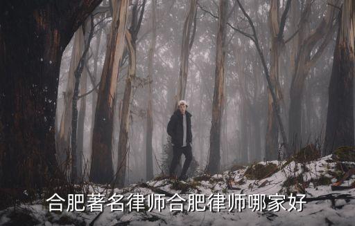 合肥哪個律師事務所比較好排名，合肥哪里的律師事務所比較好