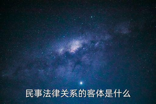 民事法律關(guān)系的客體是什么