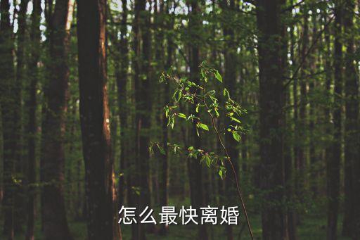 怎么最快離婚