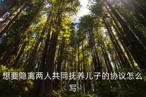 想要隱離兩人共同撫養(yǎng)兒子的協(xié)議怎么寫