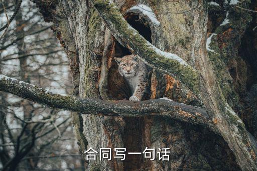 合同寫一句話