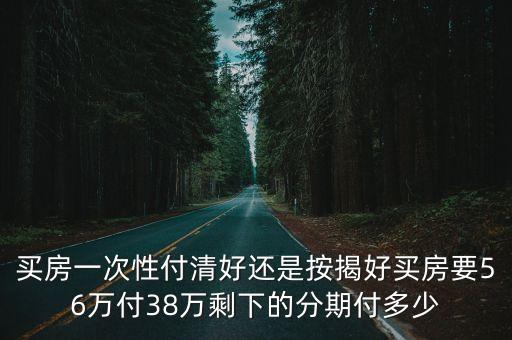 買房一次性付清好還是按揭好買房要56萬付38萬剩下的分期付多少