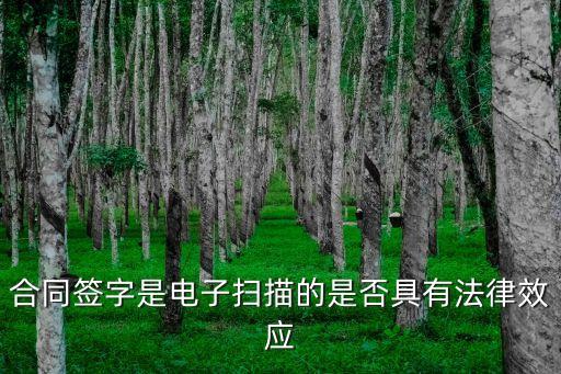 合同掃描件具備法律效應(yīng)嗎，合同簽字是電子掃描的是否具有法律效應(yīng)