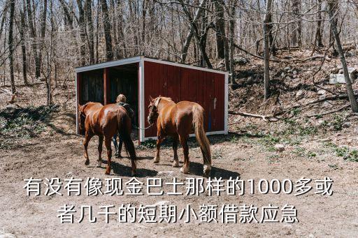 有沒(méi)有像現(xiàn)金巴士那樣的1000多或者幾千的短期小額借款應(yīng)急