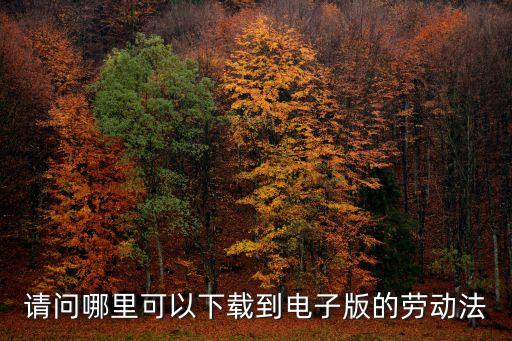 請(qǐng)問(wèn)哪里可以下載到電子版的勞動(dòng)法