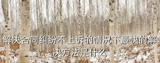 解決合同糾紛不上訴的情況下最快的解決方法是什么