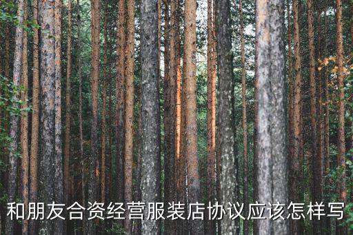 合資合同協(xié)議書怎么寫，合資開廠合同怎么寫
