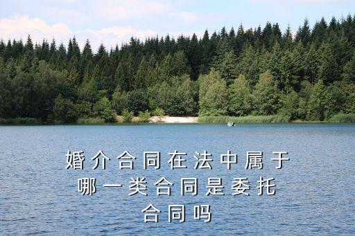 婚介服務(wù)合同條款，婚 介 合 同 在 法 中 屬 于 哪 一 類 合 同 是 委 托 合 同 嗎