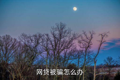 網(wǎng)貸被騙怎么辦
