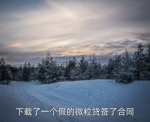 下載了一個假的微粒貸簽了合同
