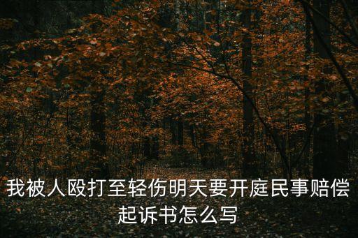 我被人毆打至輕傷明天要開(kāi)庭民事賠償起訴書怎么寫