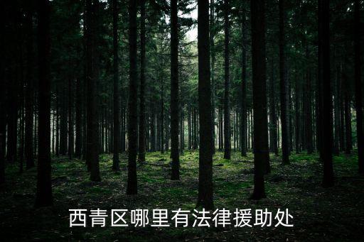 西青區(qū)哪里有法律援助處