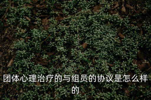 團體心理治療的與組員的協(xié)議是怎么樣的