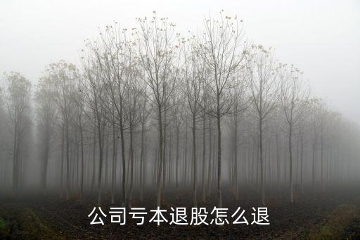 公司虧本退股怎么退