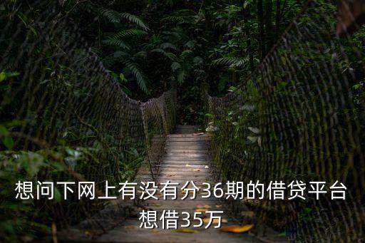 想問(wèn)下網(wǎng)上有沒(méi)有分36期的借貸平臺(tái)想借35萬(wàn)