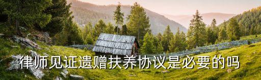 遺贈(zèng)撫養(yǎng)協(xié)議書(shū)需要證人嗎，遺贈(zèng)扶養(yǎng)協(xié)議必須公證才具有法律效力嗎