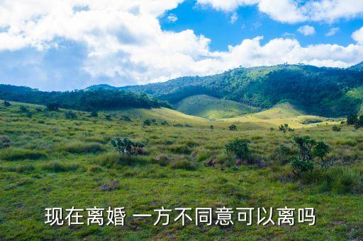 現(xiàn)在離婚 一方不同意可以離嗎